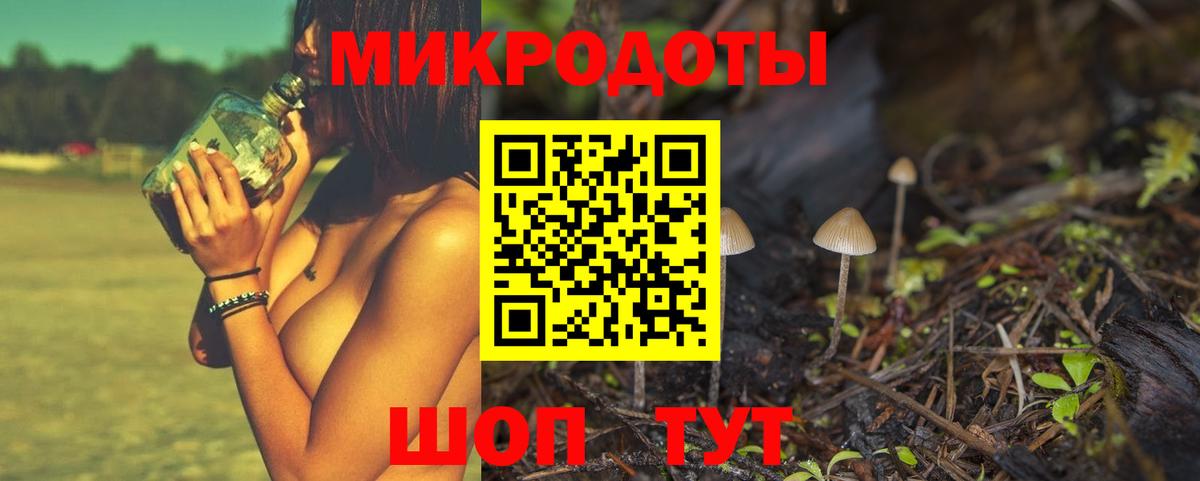 Псилоцибиновые грибы Psilocybine cubensis  Вход с VPN  Зерноград 
